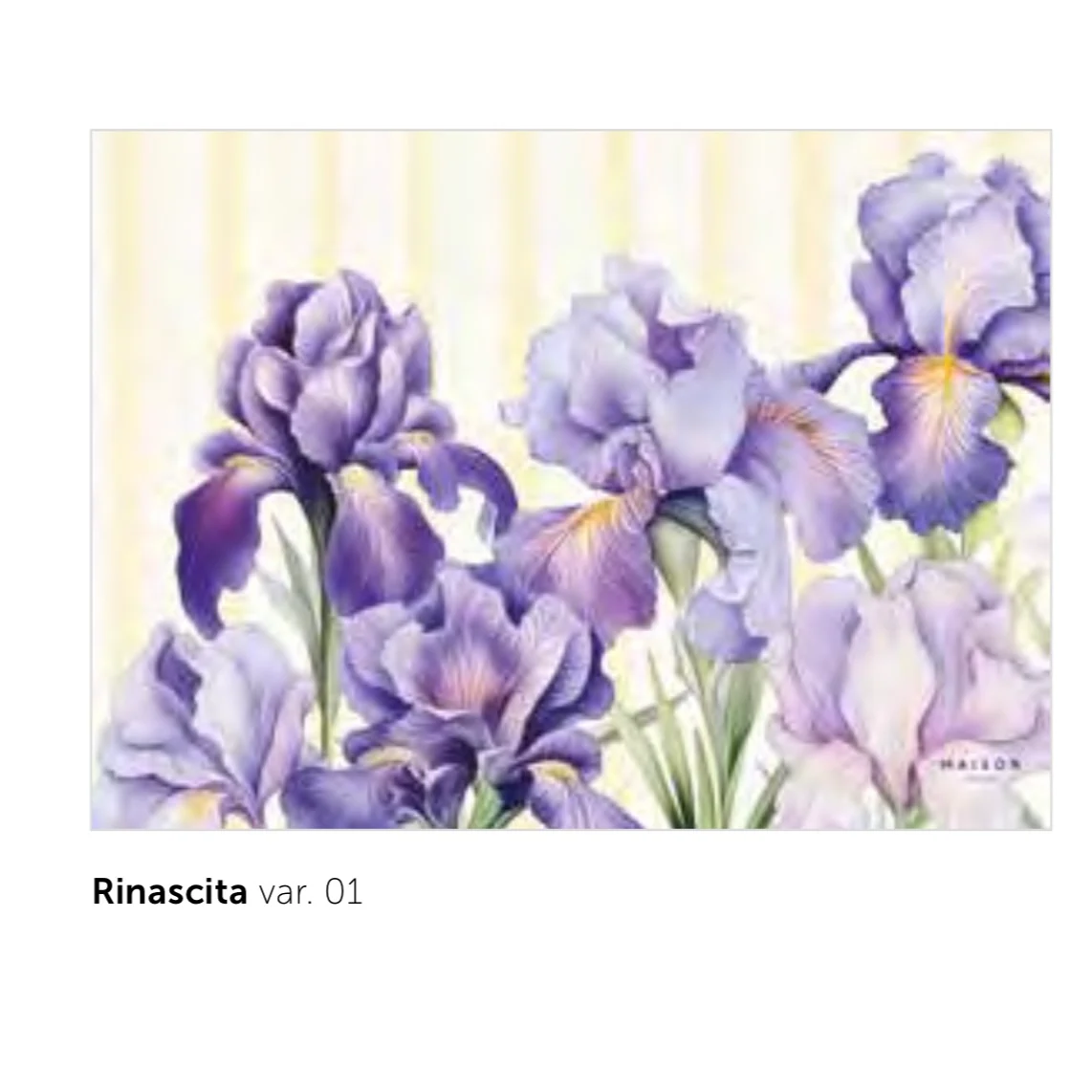 Tovagliette Rinascita - immagine 3