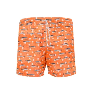 Boxer Sardine